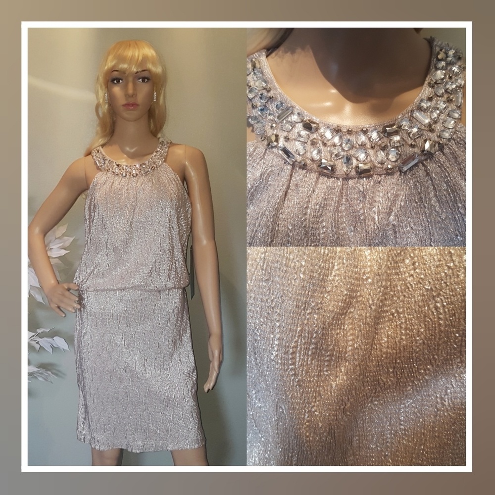 Silver Beaded Collar Dress